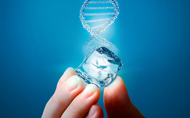 Com DNA voltado para inovação, Grupo Polar surpreende o mercado farmacêutico no mês de maio
