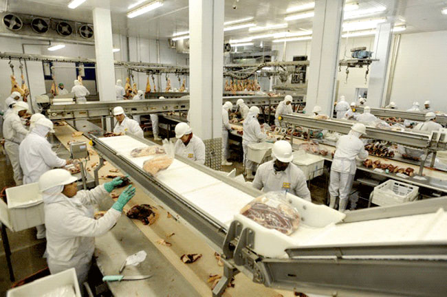 Schmersal tem portfólio exclusivo para segurança na indústria alimentícia