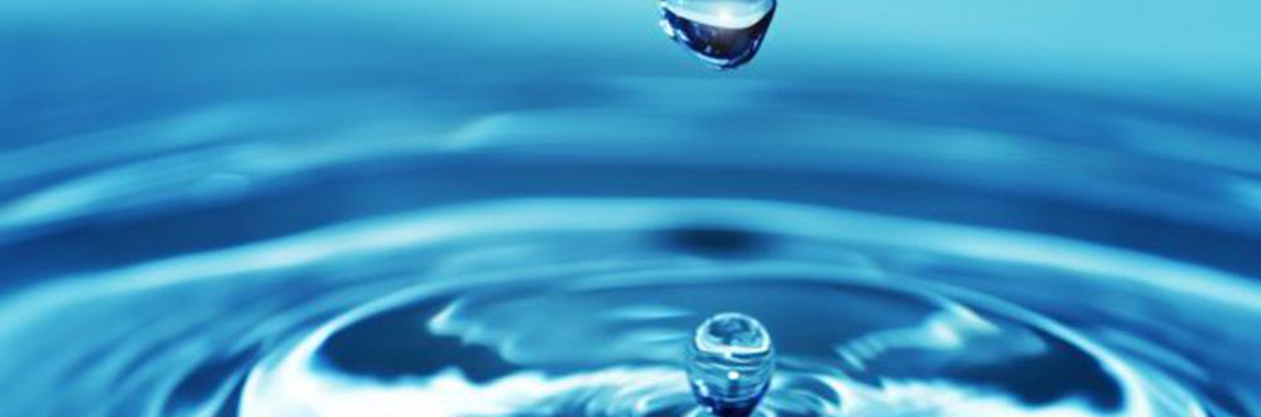 Solução digital da BASF possibilita economia de até 36 mil litros de água