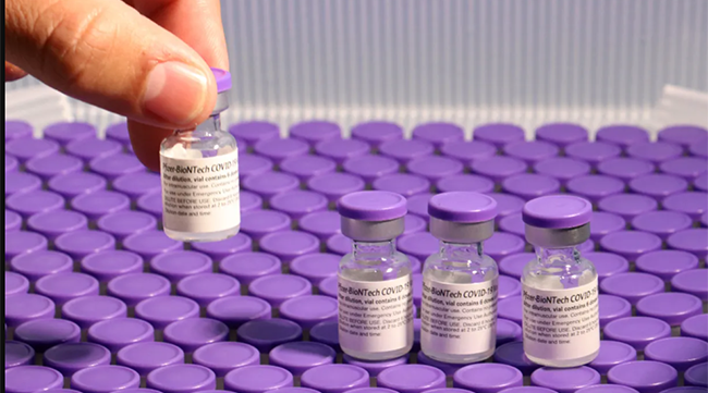 Autorizada ampliação dos prazos de validade da vacina Comirnaty (Pfizer/Wyeth)