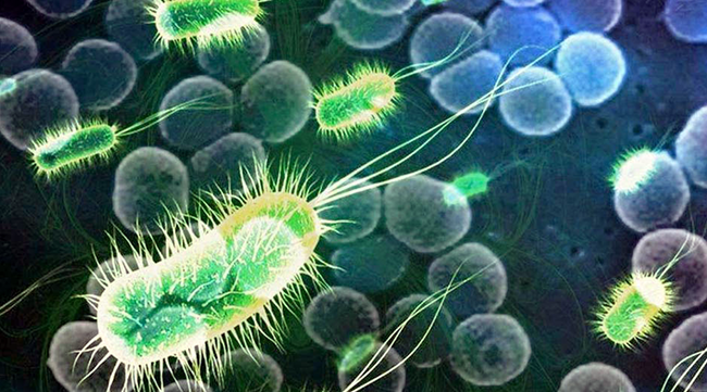 Anvisa atualiza integrantes de comissão sobre infecções relacionadas à assistência à saúde e de câmara técnica sobre resistência microbiana
