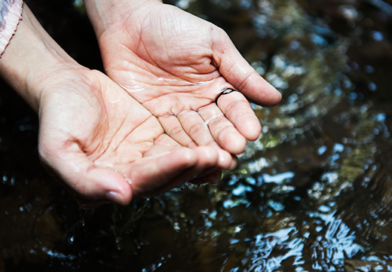 Conheça 4 medidas para a preservação dos recursos hídricos